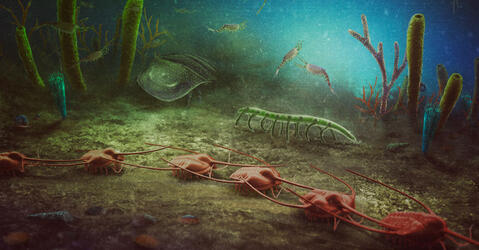 Christian McGall (Prehistorica Art)